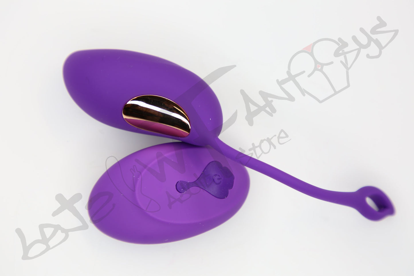 Remote control vibrating egg