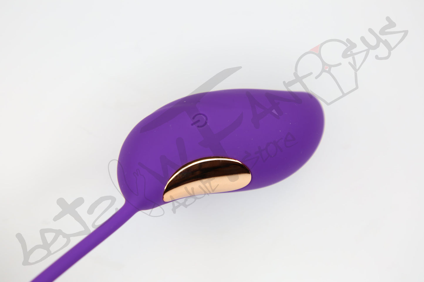 Remote control vibrating egg